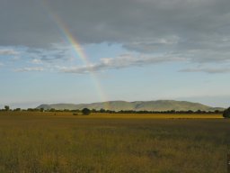 Seronera_and_Lobo2003-044